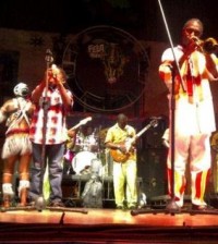 femi kuti and sons